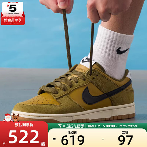 NIKE耐克男子DUNK复古运动鞋休闲鞋板鞋IB6399-300