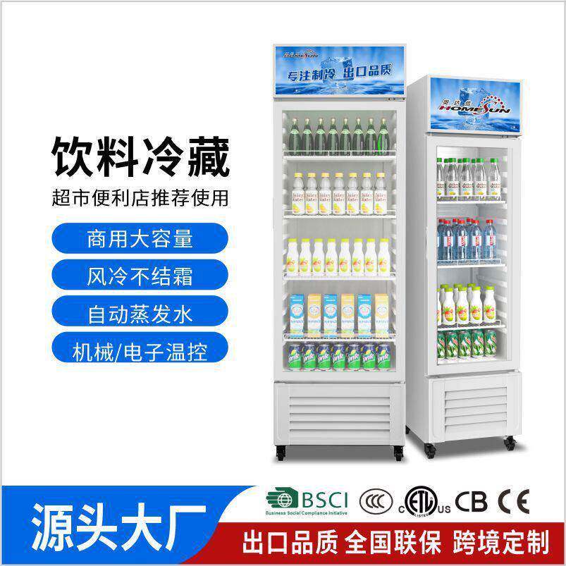 dapan奥达信冷藏展示柜酒水饮料柜牛奶冰箱立式冰柜110V220V跨境