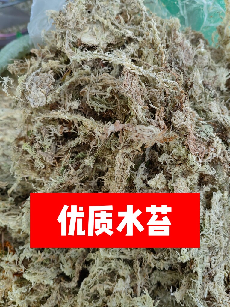 包邮免邮水苔青苔干苔藓铁皮石斛蝴蝶兰食虫植物兰花土