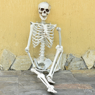 骷髅骨架挂件万圣节吊鬼屋密室逃脱恐怖装饰人体干尸骨头布景道具