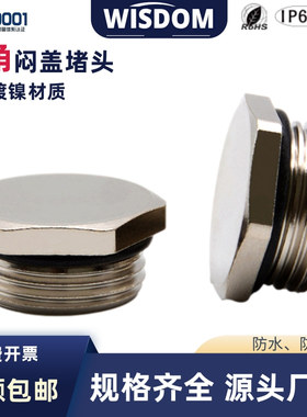 金属闷盖六角堵头镀镍材质防水堵塞件旋入式塞头M12-M63格兰丝堵