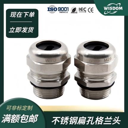 304SS不锈钢扁孔防水接头伴热带密封压盖锁头M20-M63扁电缆格兰头