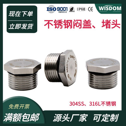 304SS/316L不锈钢丝堵闷盖M20实心圆形盲堵G1/2防水密封六角堵头