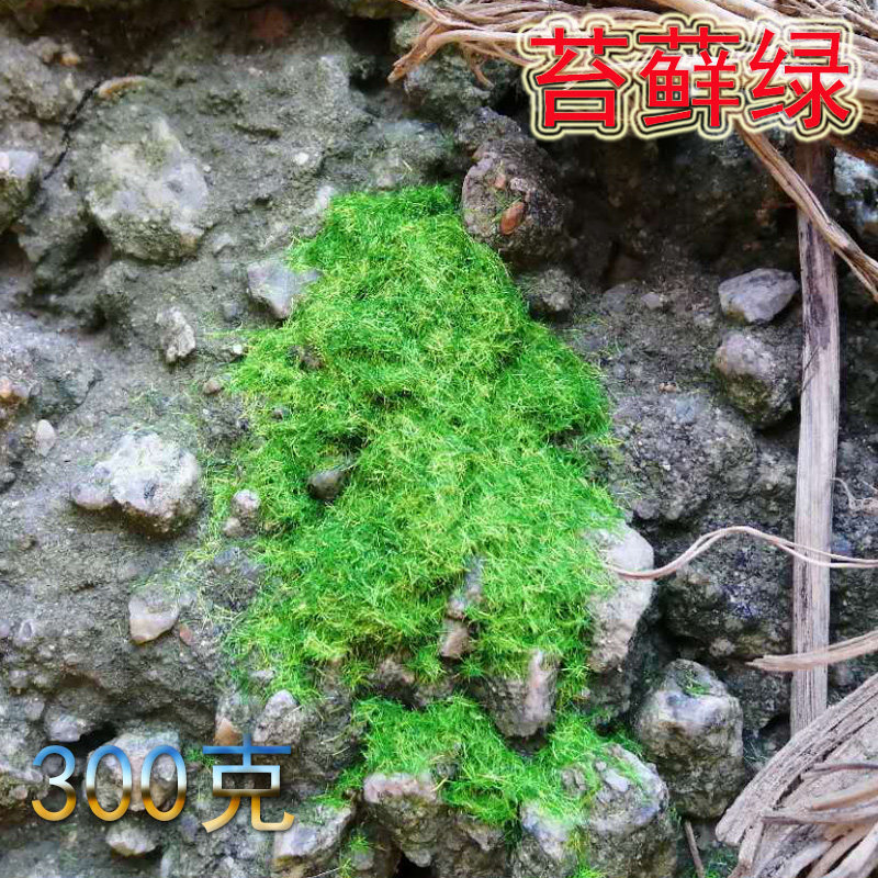 仿野生苔藓草粉尼龙纤维青苔植物铺面绿植假山造景鱼缸吸水石假草