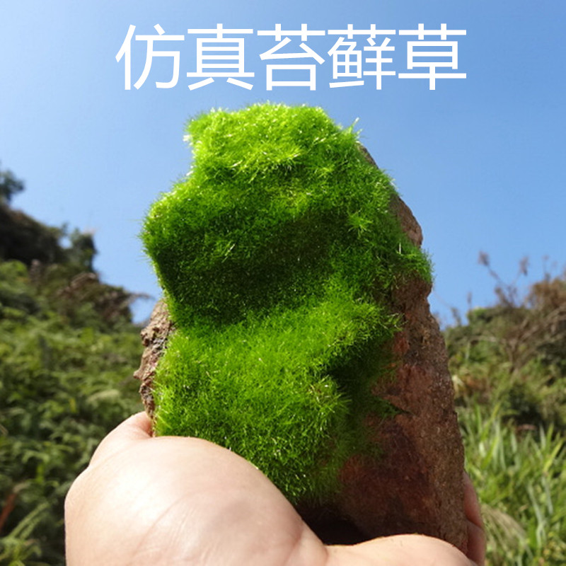 尼龙假山绿色绘画微景观永生苔藓