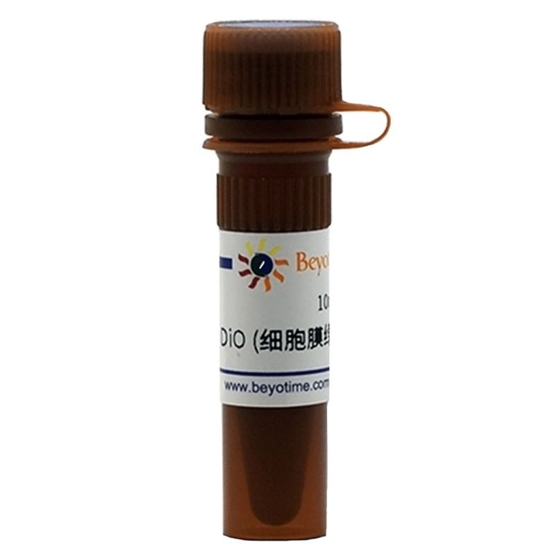 碧云天 C1038 DiO 细胞膜绿色荧光探针10mg C1993S 染色试剂盒