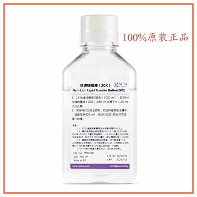 新赛美快速转膜液500ml