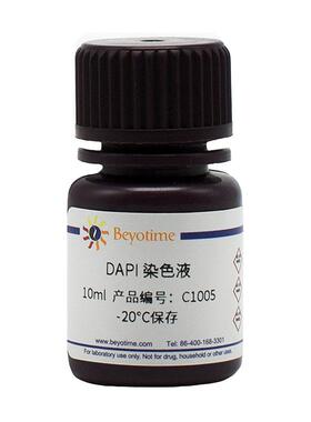碧云天 C1005 DAPI染色液 C1006 C1006-200ml