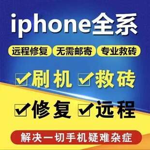 适用于苹果手机远程刷机iphone6781213MAX平板ipad迷你air解mini
