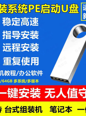 系统u盘电脑重装一键安装机win10专业7旗舰w11纯净pe启动通用优正