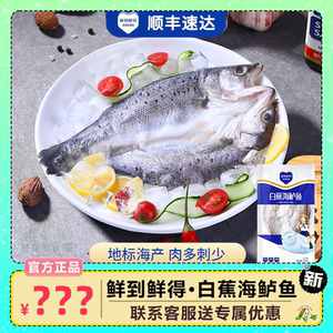 鲜到鲜得白蕉海鲈鱼1050g/包三去处理新鲜水产真空锁鲜独立包装