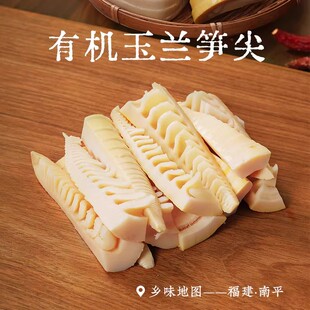 乡愁沈丹有机玉兰笋尖 福建南平竹笋农家清炒香脆下饭笋干0添加