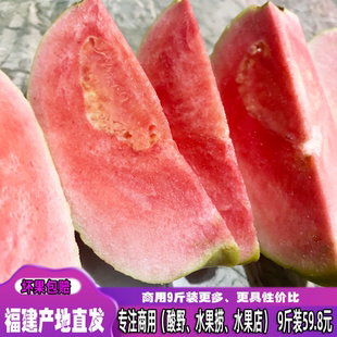 福建红心芭9斤番石榴品质脆果新鲜水果产地直发 专注茶饮鲜果