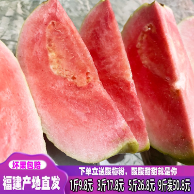 芭乐番石榴懒蚂蚁新鲜酸野水果