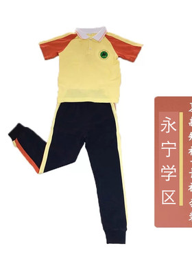 校服纯棉夏季短袖校服