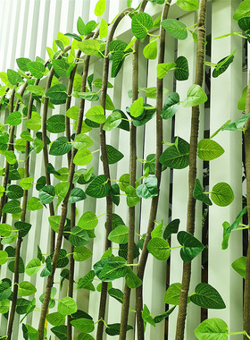 仿真树藤简约原创绿色墙屏封垂吊常青藤造景吊顶绿萝植物假花遮挡