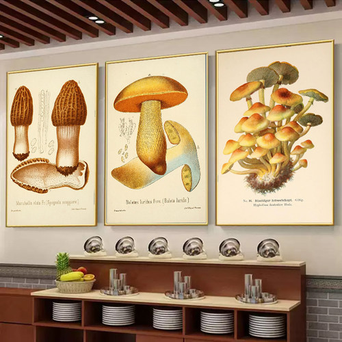 蘑菇挂画云南野生菌子松茸菌菇标本餐厅装饰画食疗养生馆汤店壁画
