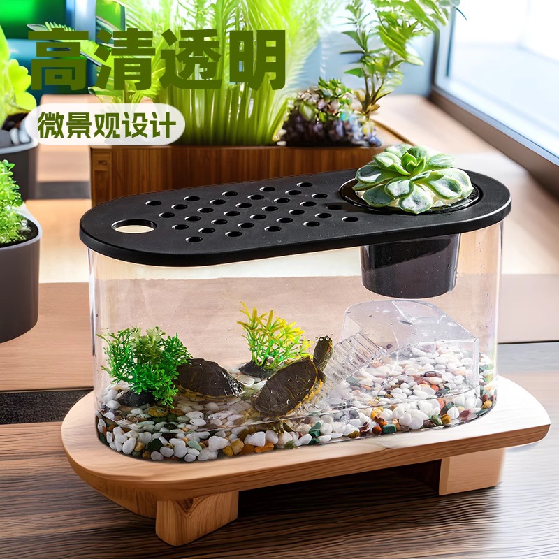 塑料高清透明微景观生态
