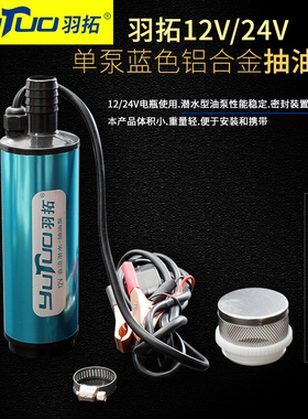 羽拓蓝色铝合金迷你抽油泵124v抽柴油抽水电动大功率不烧机抽油泵