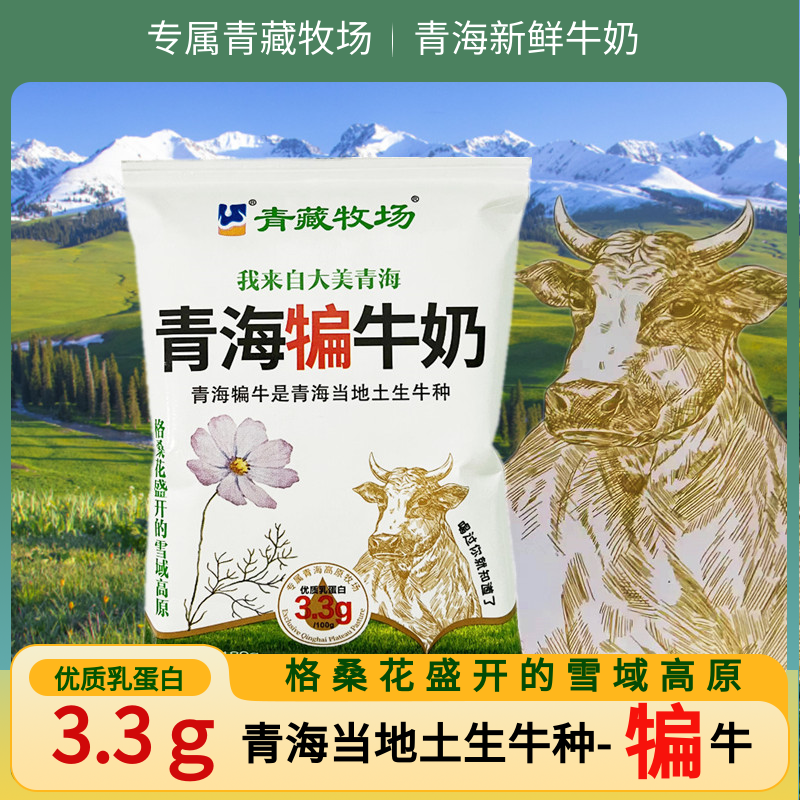 青海犏牛奶 青藏牧场青海纯牛奶儿童学生网红纯牛奶纸袋180克*袋