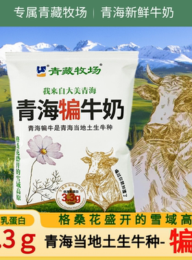 青藏牧场纯牛奶青海西宁