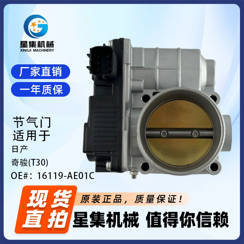 汽车节气门OE16119-AE01C