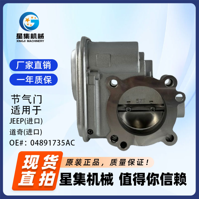 汽车节气门OE04891735AC