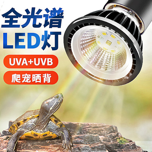 乌龟晒背灯uvauvbled爬虫