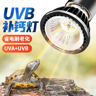 UVB全光谱led太阳灯爬虫照背灯龟缸灯 乌龟补钙三合一晒背灯UVA