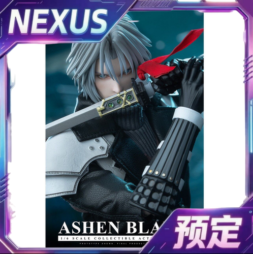 定金预售 TOYS BATTALION陆行鸟灰白之刃1/6可动TB033