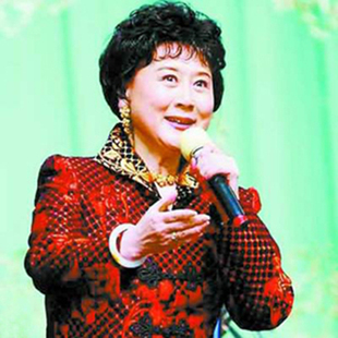 京剧伴奏 卖水 高品质伴奏 无损音质 刘长瑜版