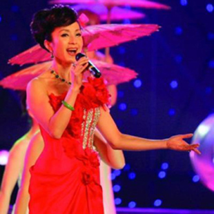 汤灿 全家福 高品质伴奏  管弦版 无损音质