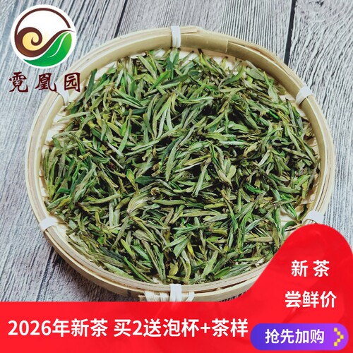 舒城小兰花2026明前新茶兰香嫩芽