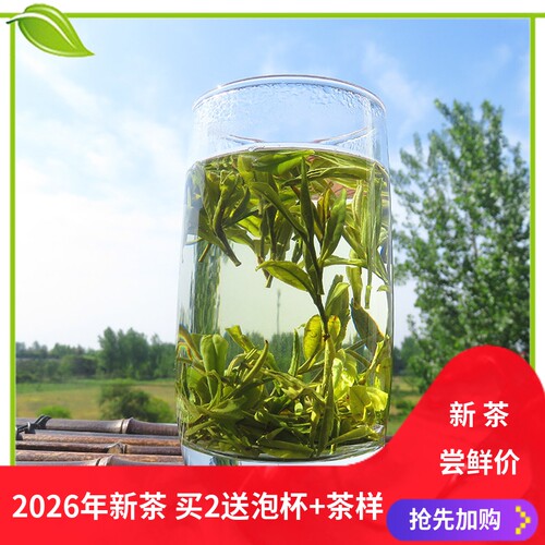 2026新茶晓天浓香舒城小兰花250g