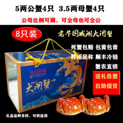 高淳固城湖大闸蟹5两公螃蟹3.5两母蟹8只可全母特大鲜活礼盒包邮