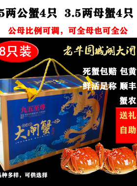 5两8只鲜活礼盒固城湖大闸蟹包邮