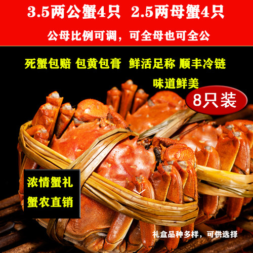 固城湖大闸蟹螃蟹固城湖