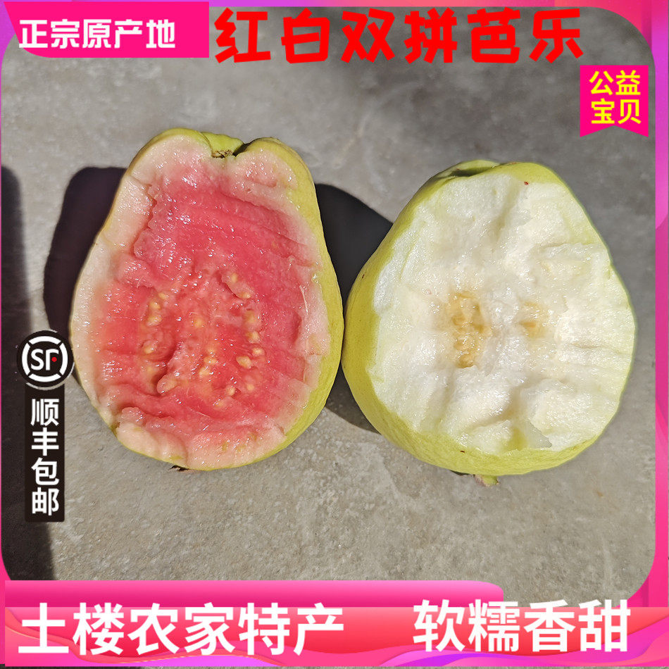 顺丰包邮现摘红白芭乐双拼福建芭乐番石榴鸡屎果5斤新鲜当季水果,水产肉类/新鲜蔬果/熟食,番石榴/芭乐,淘宝优惠券,粉丝福利购,淘宝优惠卷