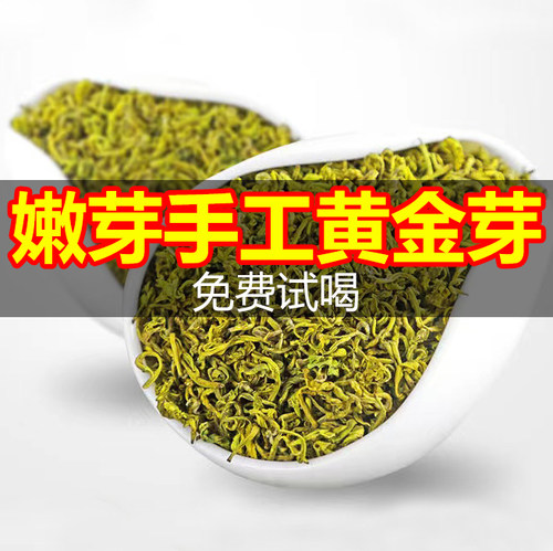 正宗新茶手工黄金芽免费试喝