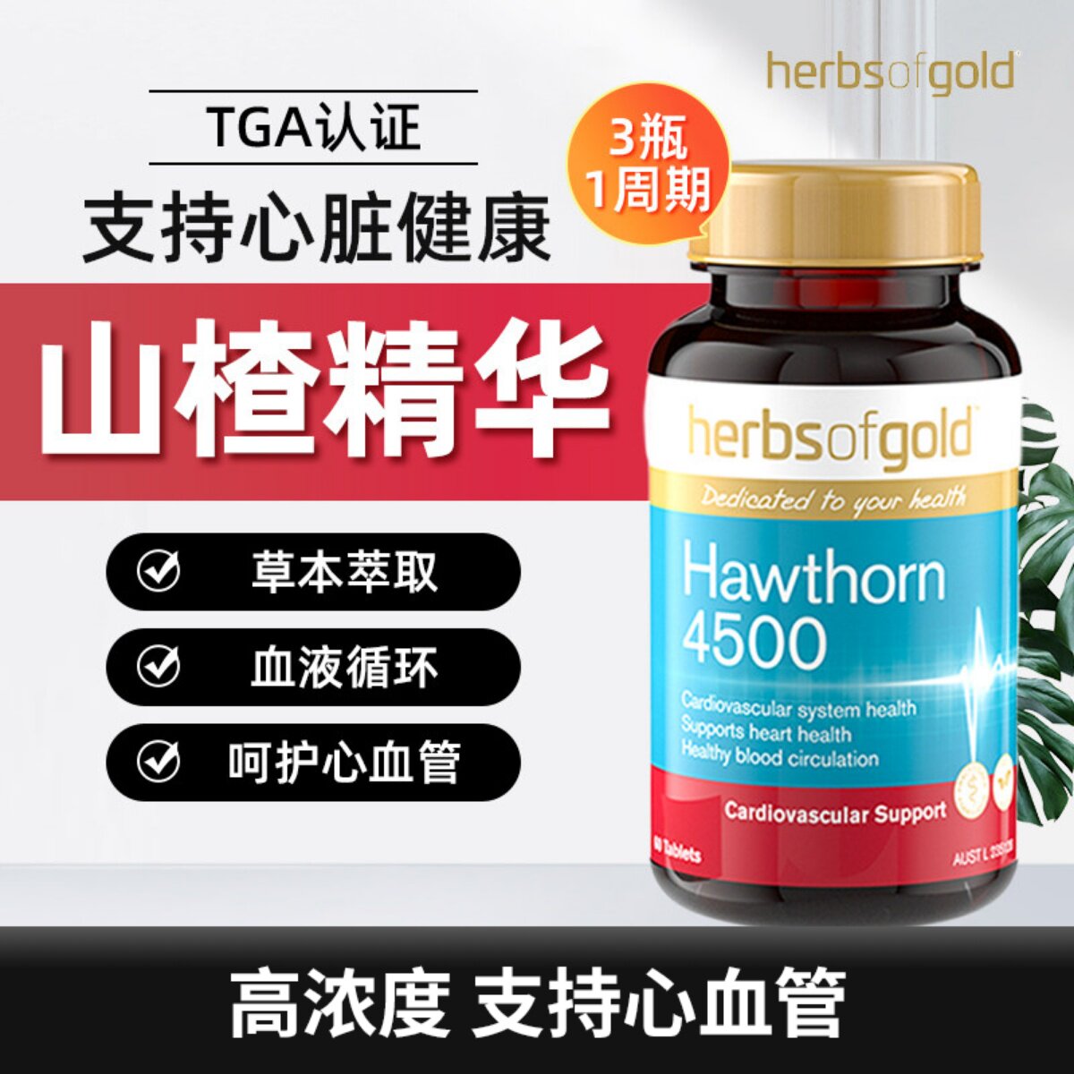 Herbsofgold山楂精华片中老年血脂高呵护心脏60粒