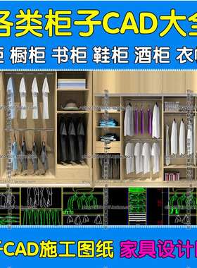 整体板式衣柜橱柜鞋柜书柜酒柜装饰柜设计室内家具CAD施工图纸