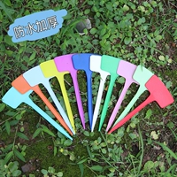 Многоцветный, 20см