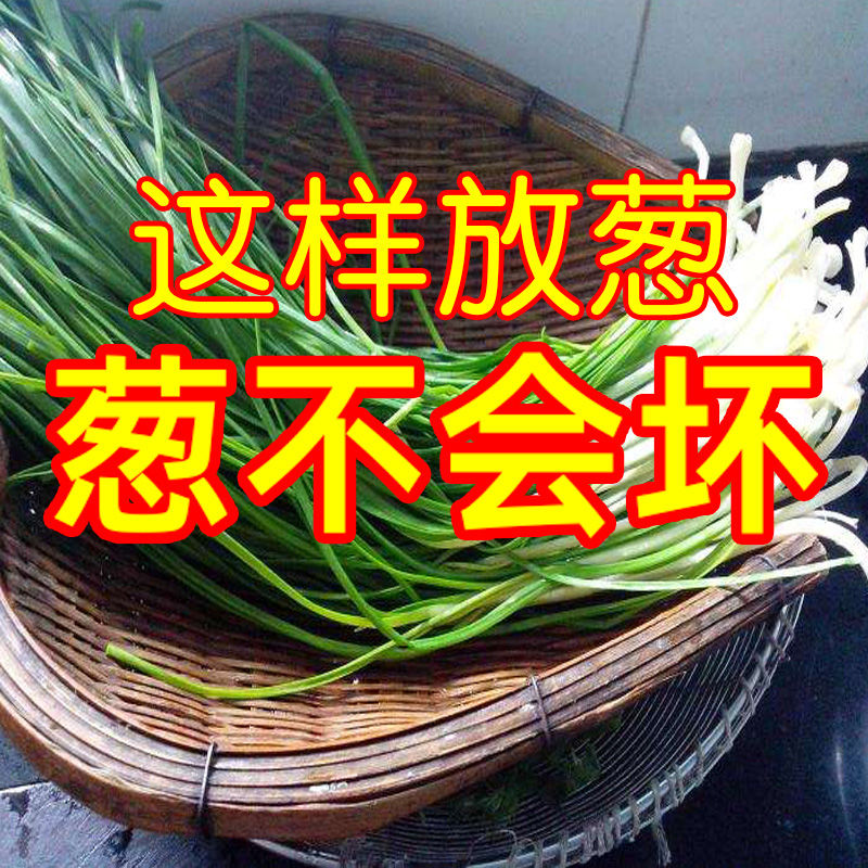 冰箱厨房葱姜蒜收纳盒食品级冰箱密封备菜盒可沥水带盖葱花保鲜盒