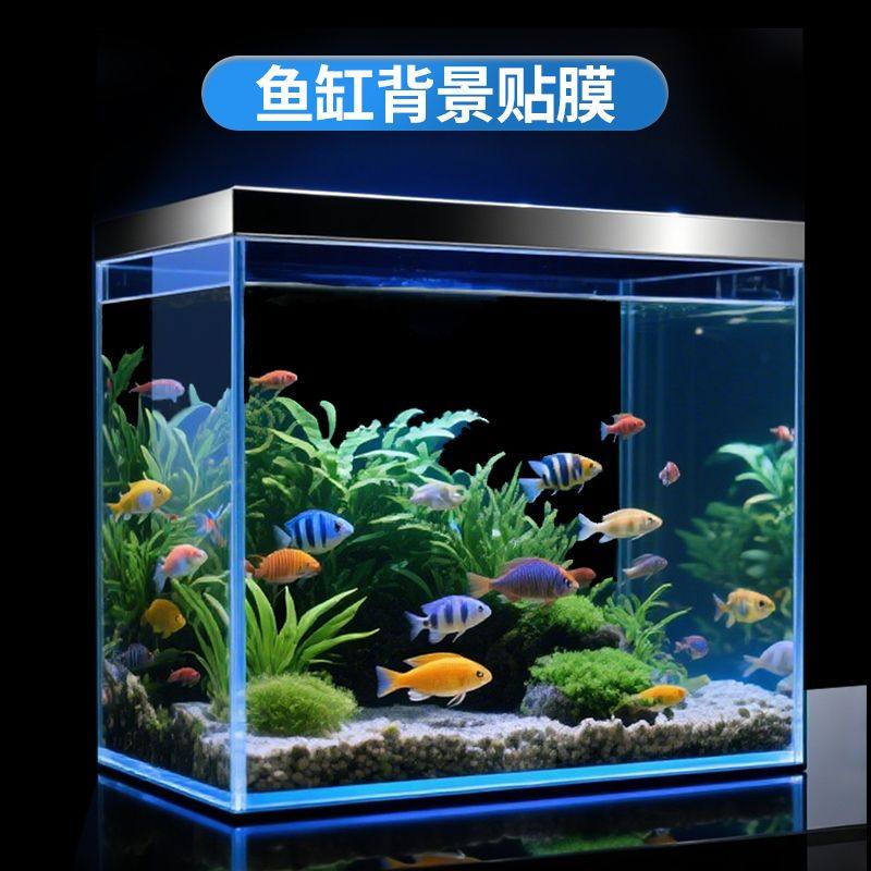 鱼缸背景贴纸水族箱专用纯黑色背景壁纸玻璃底部贴膜遮光不留胶,家居饰品,玻璃膜/贴,淘宝优惠券,粉丝福利购,淘宝优惠卷