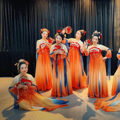 双面燕洵舞蹈服惊鸿舞蹈服古典舞