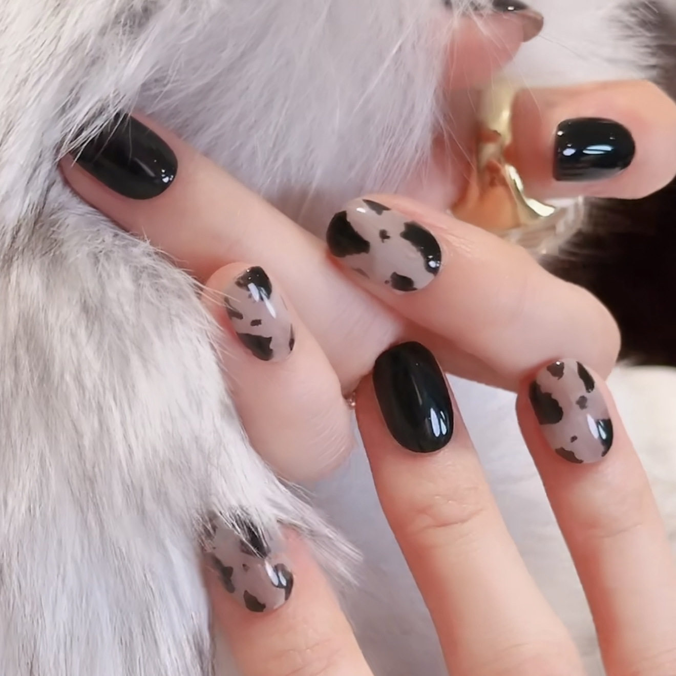 【黑松露】秋冬奶牛纹豹纹晕染黑色系纯色美甲ins显白短甲穿戴甲