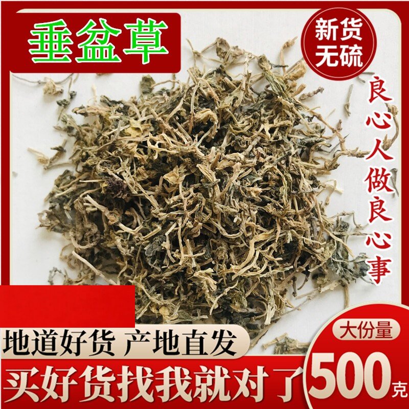 野生垂盆草500g大别山干货垂