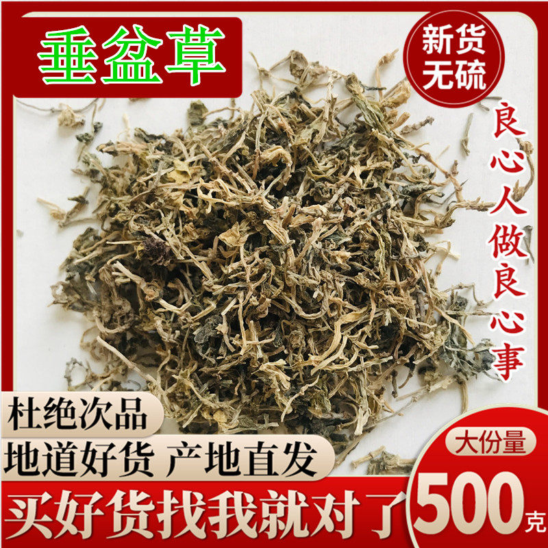 野生垂盆草中药材500g大别山干货垂盆草植物食用干垂盆草锤盆草