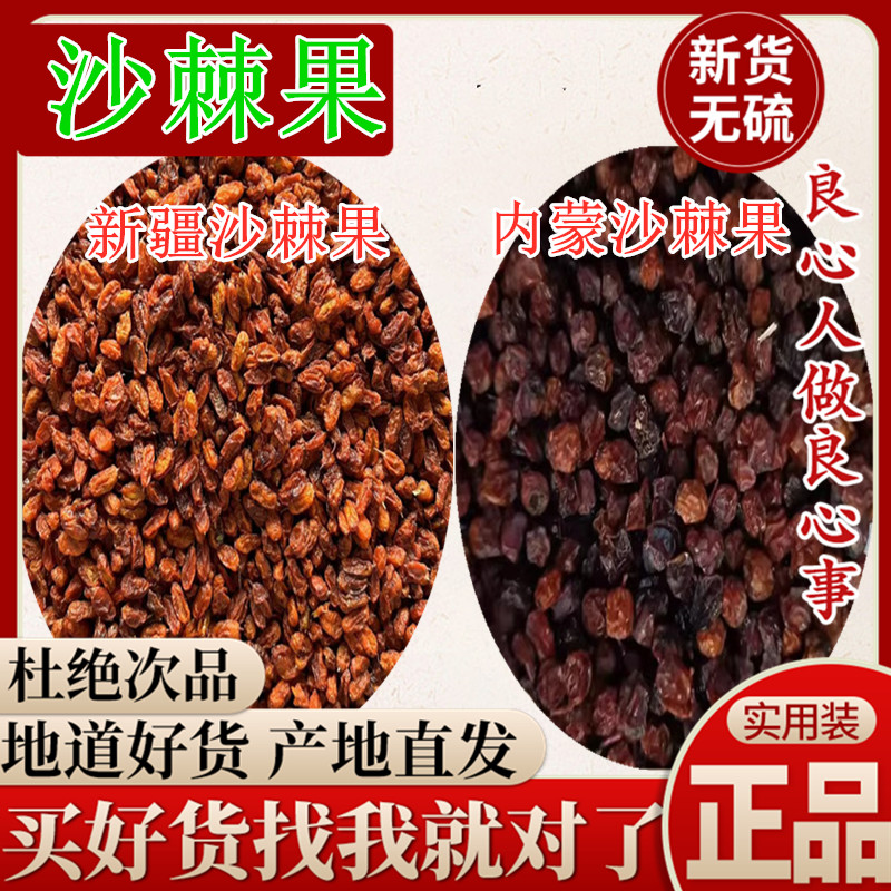 内蒙沙棘新疆沙棘果正宗甄选都有新鲜干货沙棘泡茶非野生中药材