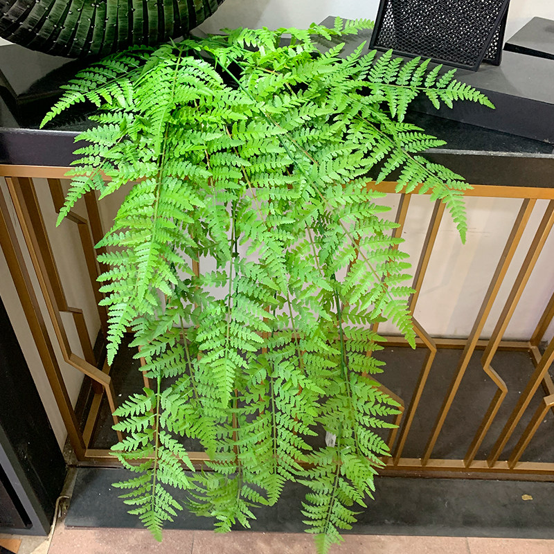 波斯草仿真植物墙田园风常青藤